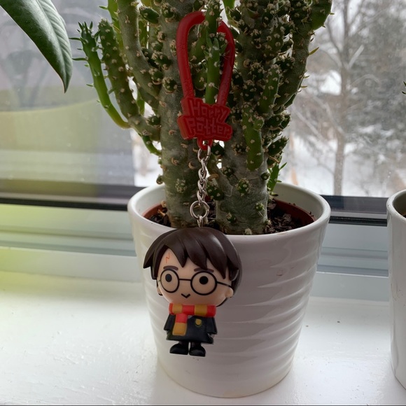 Harry Potter Keychain